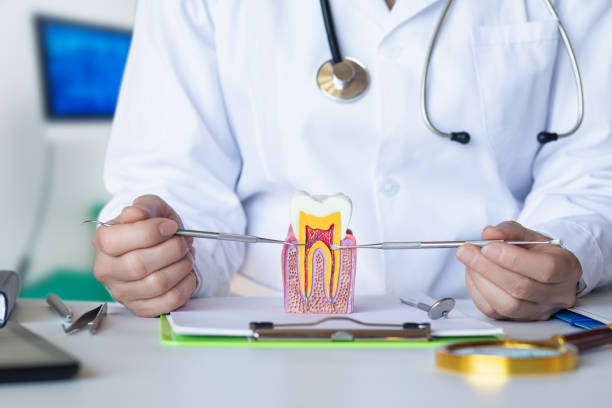 Best Emergency Wisdom Teeth Removal in Nokomis, FL